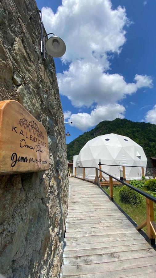Kaledome Orman Evleri Hotel Çamlıhemşin Exterior foto